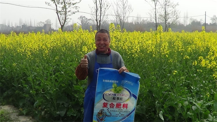 案例展示