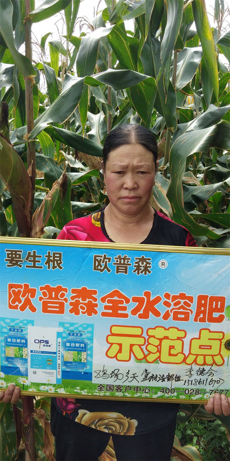 合作举牌